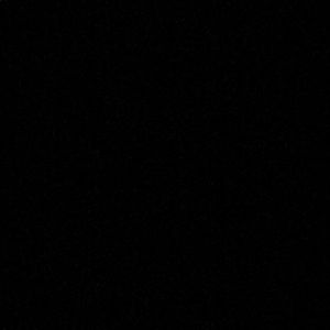 Meet your Posher, Steve